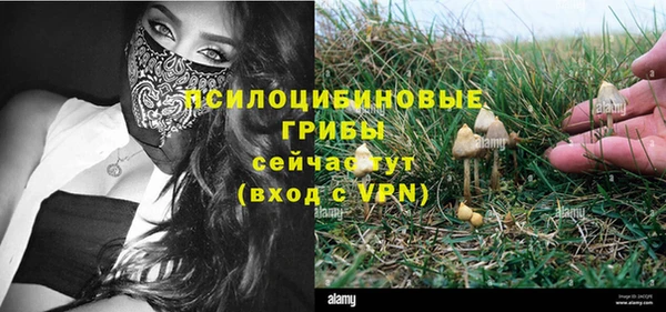 гидра Липки