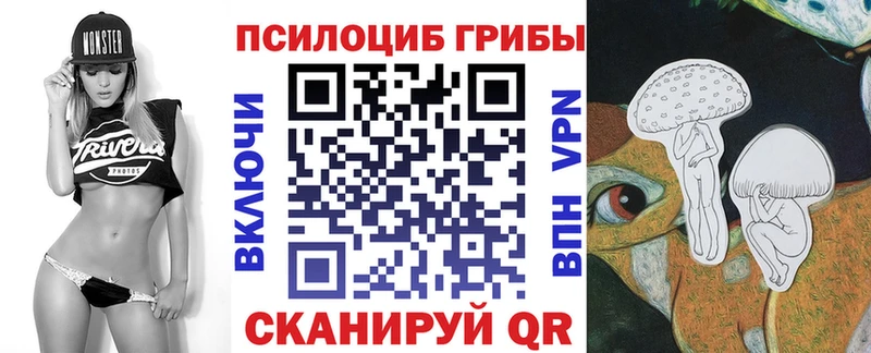 Галлюциногенные грибы Magic Shrooms  Купить где  Олонец 